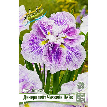 Ирис Мечевидный Динерплейт Чизкейк Кейк I 1 шт