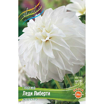 Георгина Леди Либерти I 1 шт