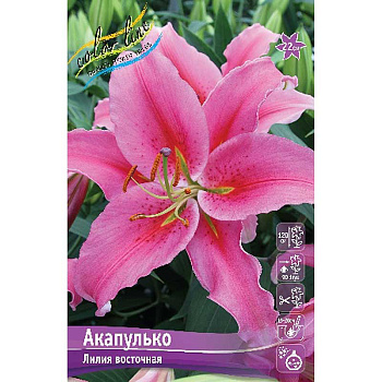Лилия Акапулько 12/14 25 шт Биг-пак 10328