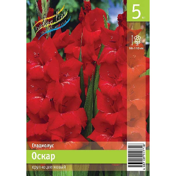 Гладиолус Оскар 10/12 5 Эконом шт 