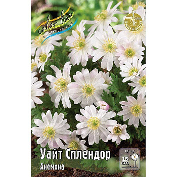 Семена Анемона Уайт Сплендор 5/+ 10 шт 