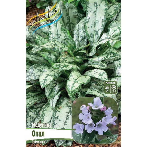Медуница Опал 2/3 n 1 шт