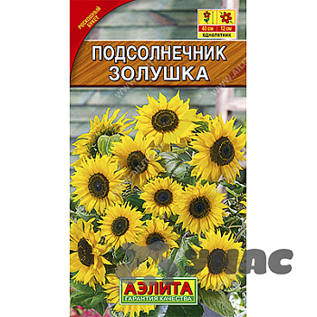 Подсолнечник Золушка Аэлита Ц 