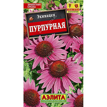 Рудбекия Пурпурная (эхинацея) Аэлита Ц 