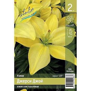 Лилия Джерси Джой 10/12 2 Эконом шт