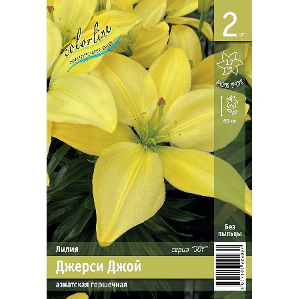 Лилия Джерси Джой 10/12 2 Эконом шт