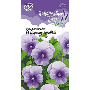 Виола Виттрока Водопад лиловый Гавриш Ц 