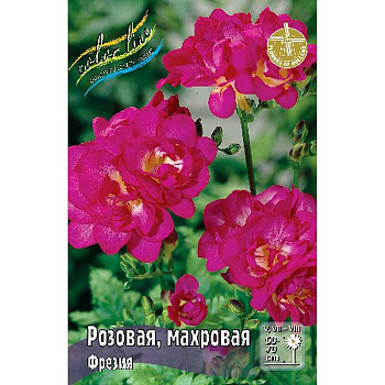 Фрезия Розовая, Махровая 5/6 200 шт Шоу-бокс 9232