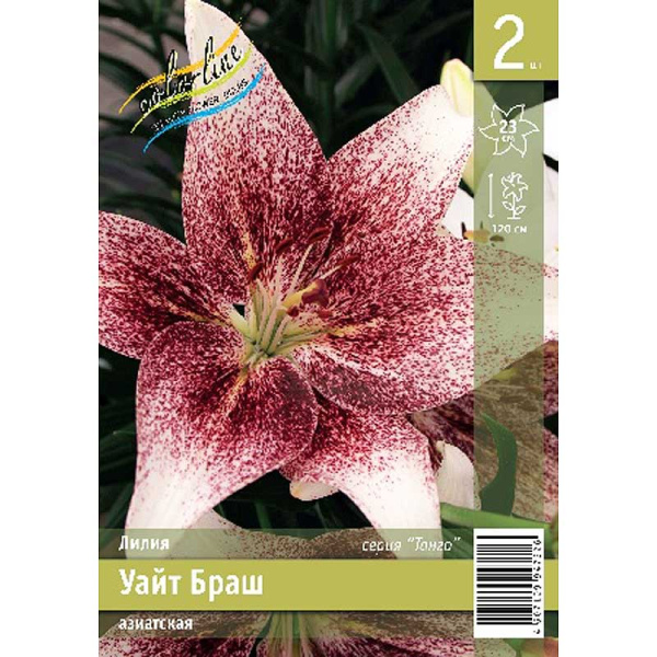 Лилия Уайт Браш 12/14 2 Эконом шт 