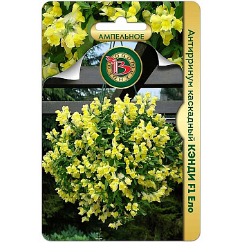 Антирринум Кэнди Ело Биотехника Ц 