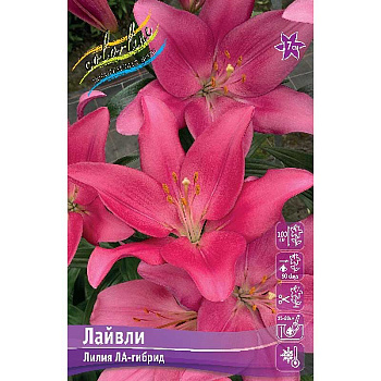Лилия Лайвли 12/14 25 шт Биг-Пак 14626 