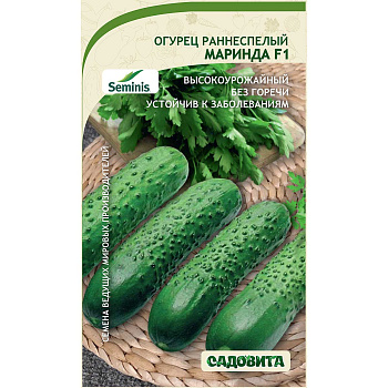 Огурец Маринда F1 5шт Seminis/Садовита Ц