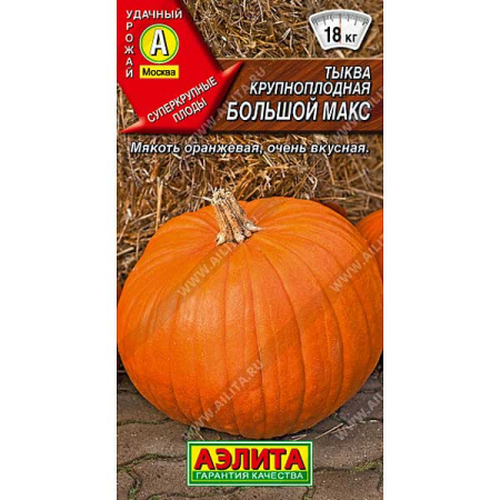 Тыква Большой Макс Аэлита Ц