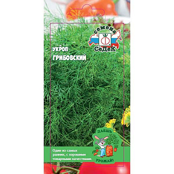 Укроп Грибовский Седек Ц