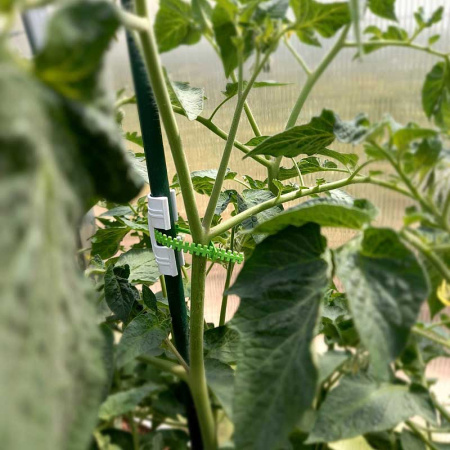 Хомут многоразовый для подвязки растений 20 см*100шт