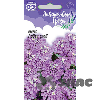 Иберис Ловец снов Гавриш Цх10 