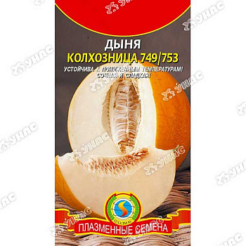 Дыня Колхозница Плазма Ц