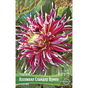 Георгина Холлихил Спайдер Вумен I 15 шт Шоу-бокс 9061 