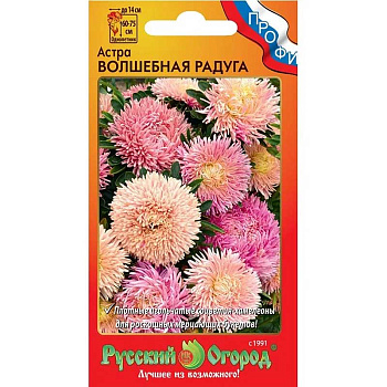 Астра Волшебная радуга НК Ц 