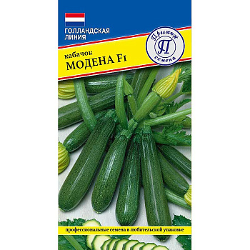 Кабачок Модена Престиж Ц