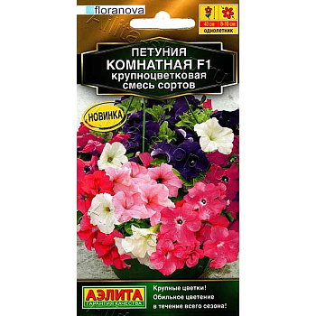 Петуния Комнатная Аэлита Ц 