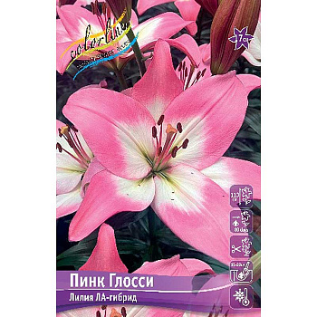Лилия Пинк Глосси 12/14 7 шт