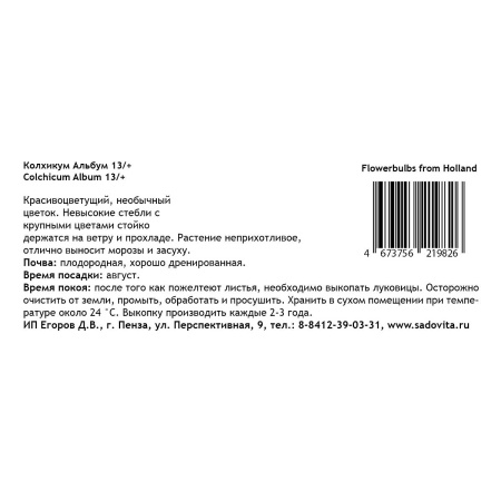 Колхикум Альбум 13/+ 1 шт Садовита