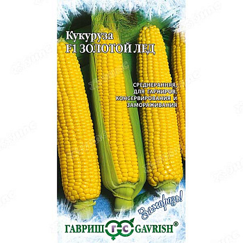 Кукуруза Золотой лед Гавриш Ц
