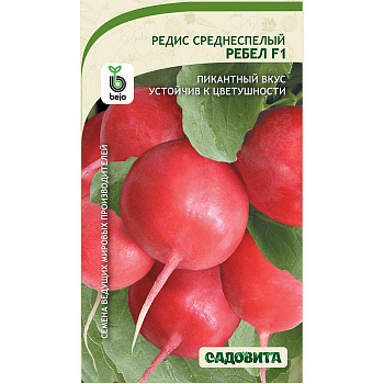Редис Ребел F1 1гр Bejo/Садовита Ц