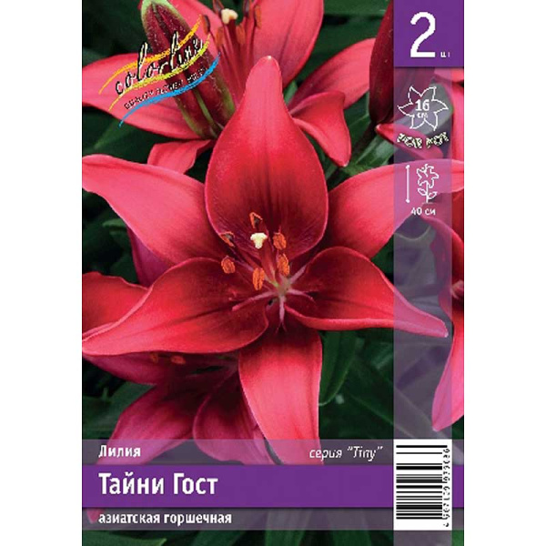 Лилия Тайни Гост 10/12 2 Эконом шт