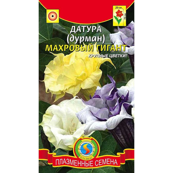 Дурман (Датура) Махровый гигант смесь Плазма Ц 