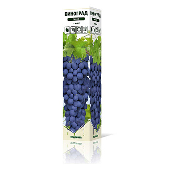Виноград Утянис ранний Садовита
