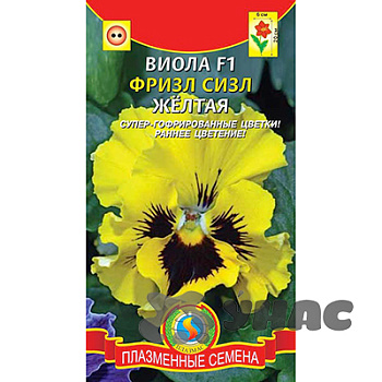 Виола Фриззл Сиззл Желтая Плазма Ц 