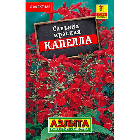 Сальвия красная Капелла "Лидер" Аэлита Ц 