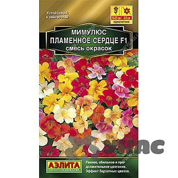Мимулюс Пламенное сердце Аэлита Ц 