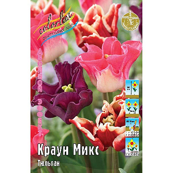 11829 Шоу-Бокс Тюльпан Краун Микс 11/12 75 шт