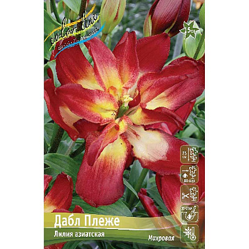Лилия Дабл Сенсейшн 12/14 25 шт Биг-Пак 10091