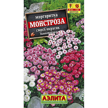 Маргаритка Монстроза смесь Аэлита Ц 