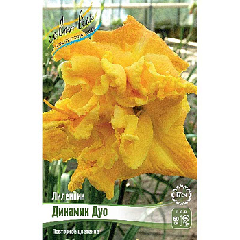 Лилейник Динамик Дуо I 25 шт Биг-пак 7866