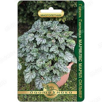 Гейхера Марвелес Марбл Сильвер Биотехник Ц 