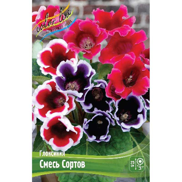 Глоксиния Смесь Сортов 5/6 50 шт Шоу-Бокс 8879