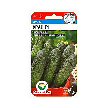 Огурец Уран СибСад Ц