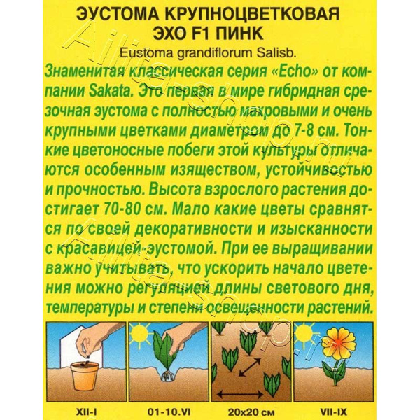 Эустома Эхо пинк крупноцветковая Аэлита Цх10 