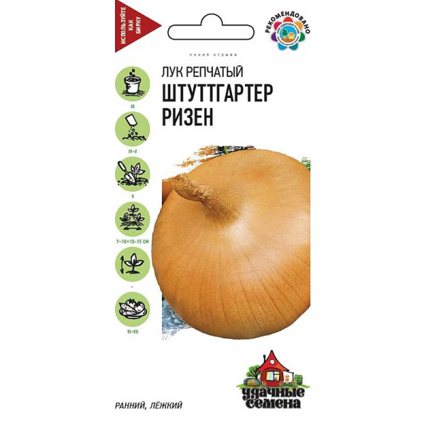 Лук Штуттгартер Ризен Удачные семена Гавриш Ц