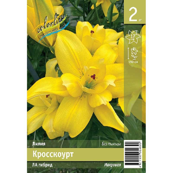 Лилия Кросскоурт 10/12 2 Эконом шт
