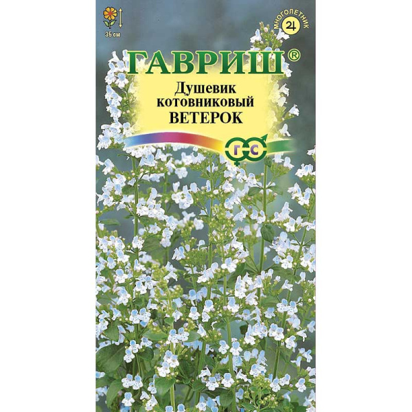 Душевик котовниковый Ветерок Гавриш Ц 
