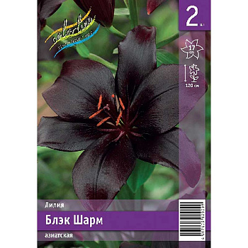Лилия Блэк Шарм 12/14 2 Эконом шт