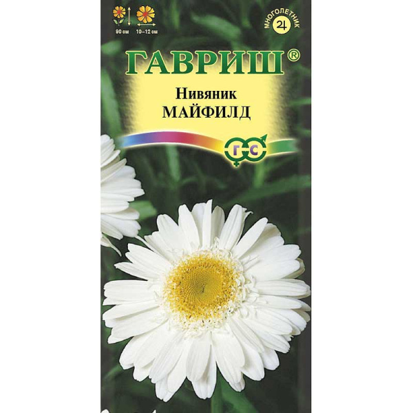 Нивяник Майфилд махровый Гавриш Ц 