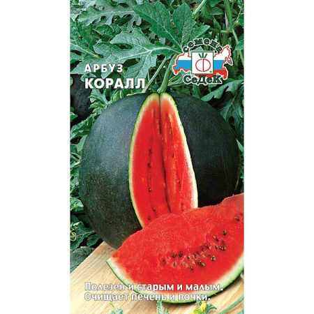 Арбуз Коралл  Седек Ц