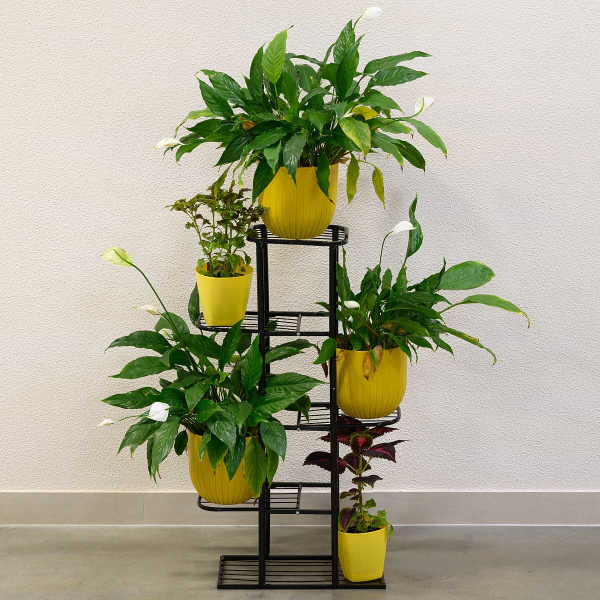 Подставка д/цветов Разборная-6 Черная г.Тверь